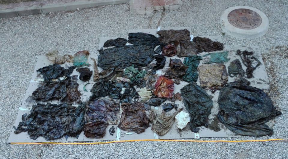 Some of the plastic rubbish ingested by the whale. Source: Yahoo UK