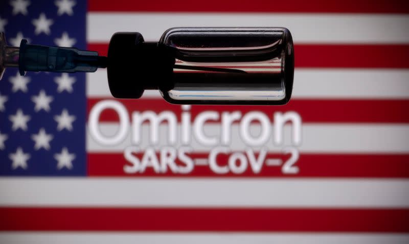 FILE PHOTO: A vial and a syringe are seen in front of a displayed United States' flag and words "Omicron SARS-CoV-2" in this illustration taken