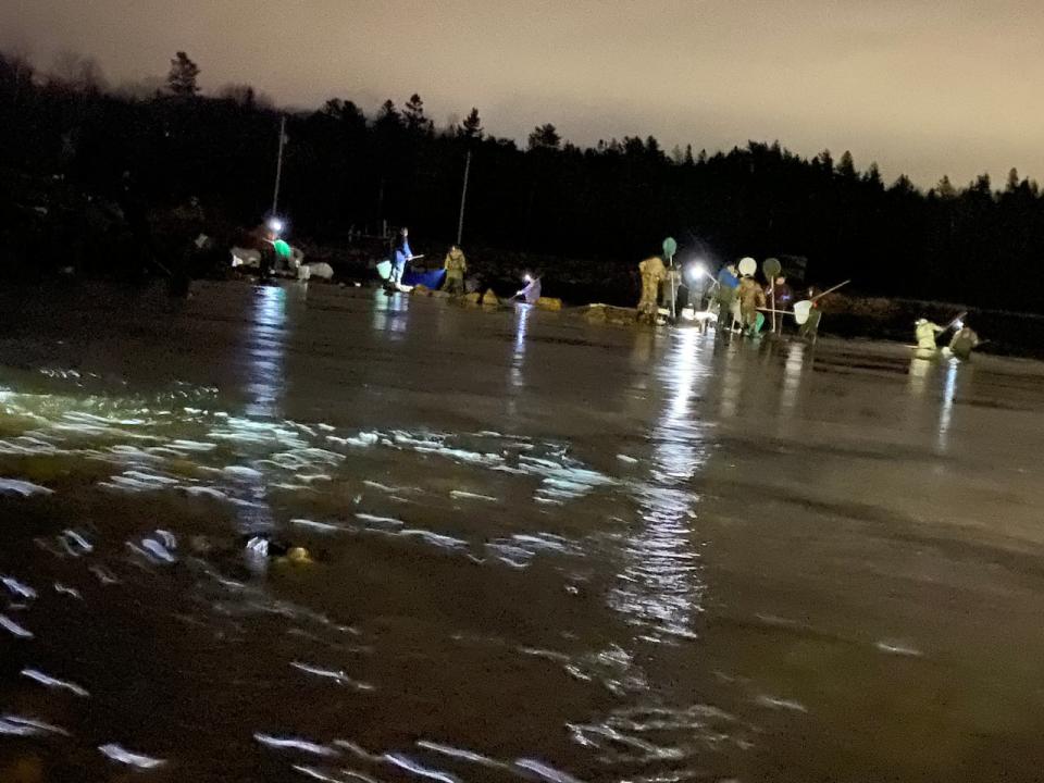 Elver fishers are seen on a river in Halifax County, N.S. in 2023. The image is taken from a camera set up by licence holder Atlantic Elver Fishery and shows what the company says is unauthorized fishing on a river assigned exclusively to the company by Fisheries and Oceans Canada. 