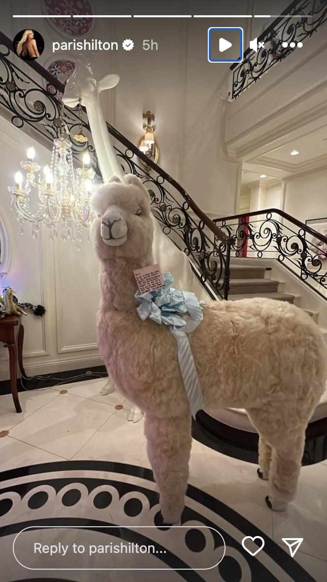 An alpaca gifted to Paris Hilton by the Kardashians. 