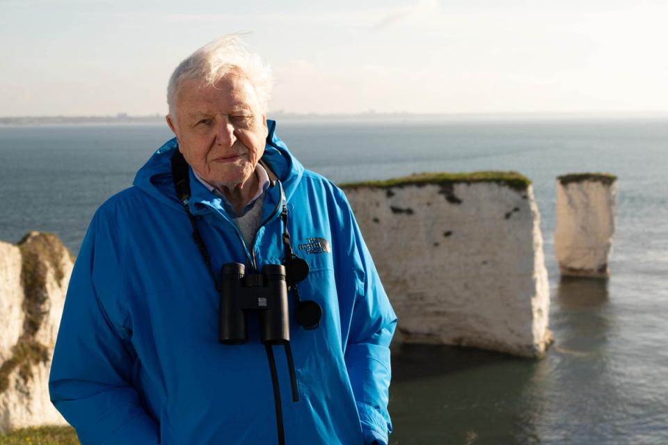 Sir David Attenborough introduces the Wild Isles series at dawn at Old Harry’s Rocks (BBC / Silverback Films / Chris Howard)