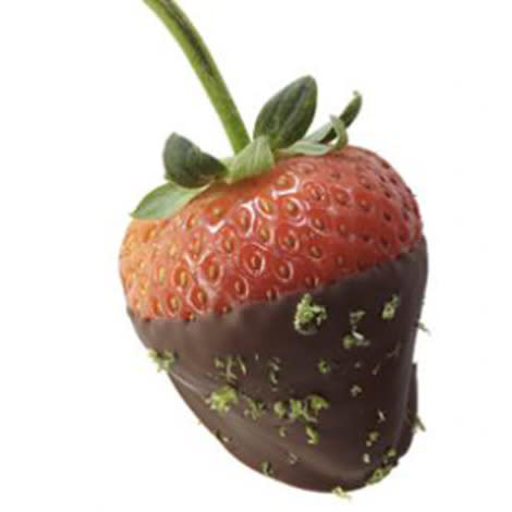 DIY Chocolate-Dipped Strawberries (and More Chocolate-Covered Treats)