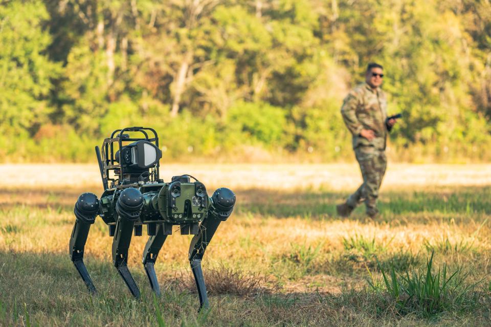 Air Force Master Sgt. Dominic Garcia observes Atom the robot dog as teammates operate it via remote control training at Barksdale Air Force Base, La., Nov. 6, 2023.