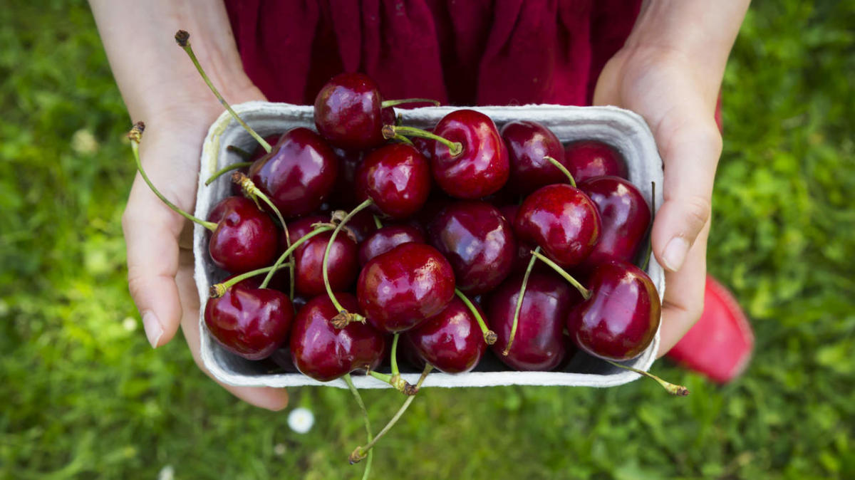 7 Health Benefits of Sweet Cherries