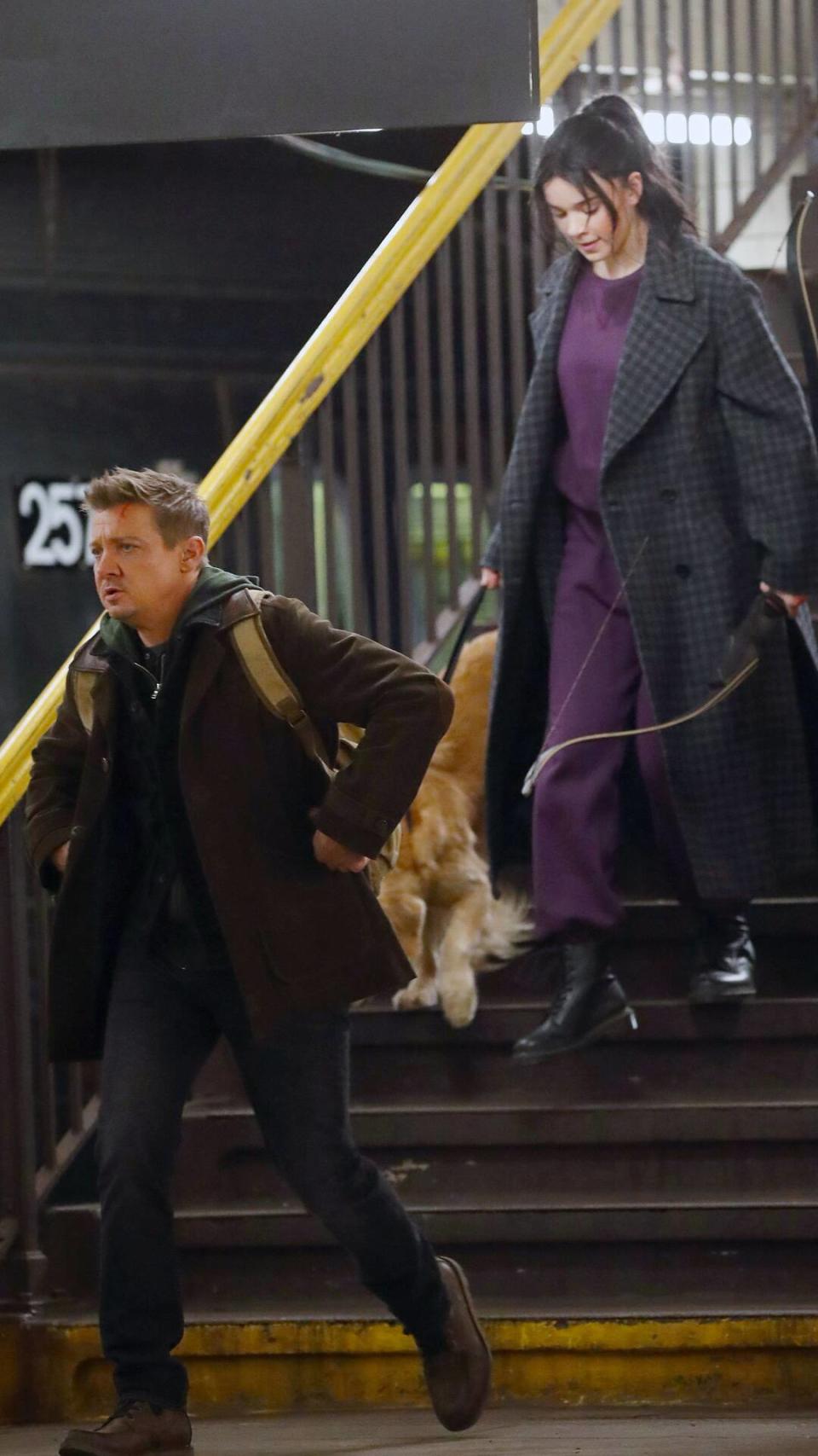 Hailee Steinfeld, Jeremy Renner, Hawkeye