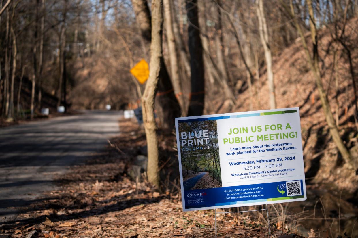 A city plan to stem bank erosion and pollutants from entering Walhalla Creek has divided Clintonville residents.