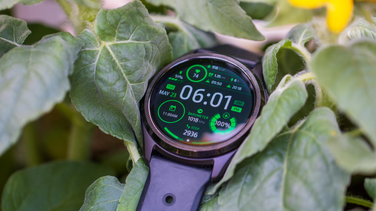  TicWatch Pro 5 in sunflowers. 