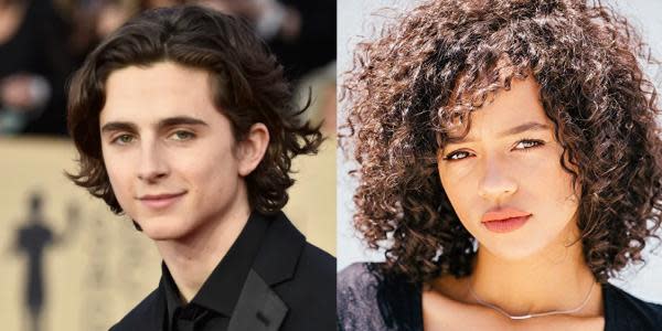 Timothée Chalamet y Taylor Russell protagonizarían la nueva película de Luca Guadagnino