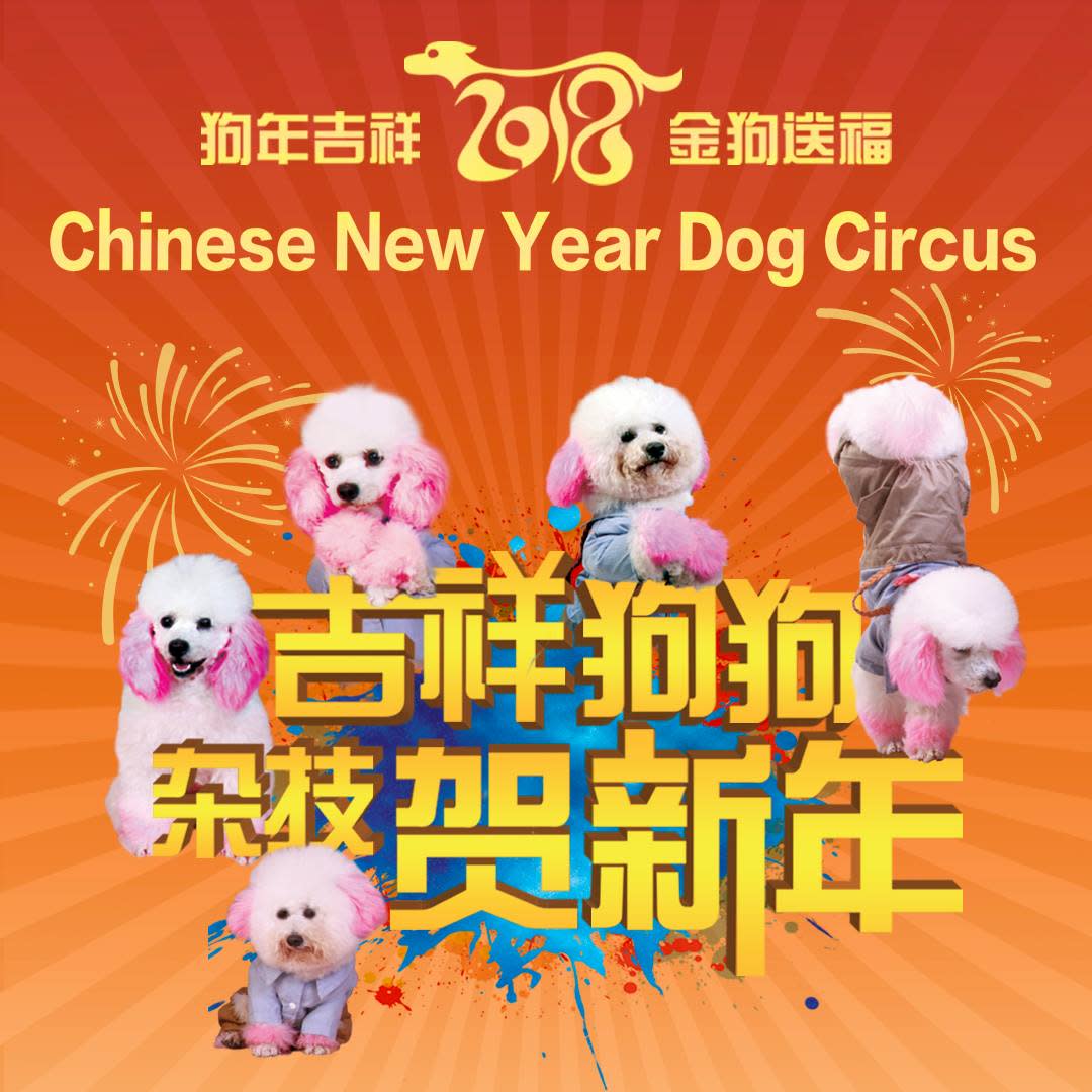 (PHOTO: Facebook / Chinese New Year Dog Circus)