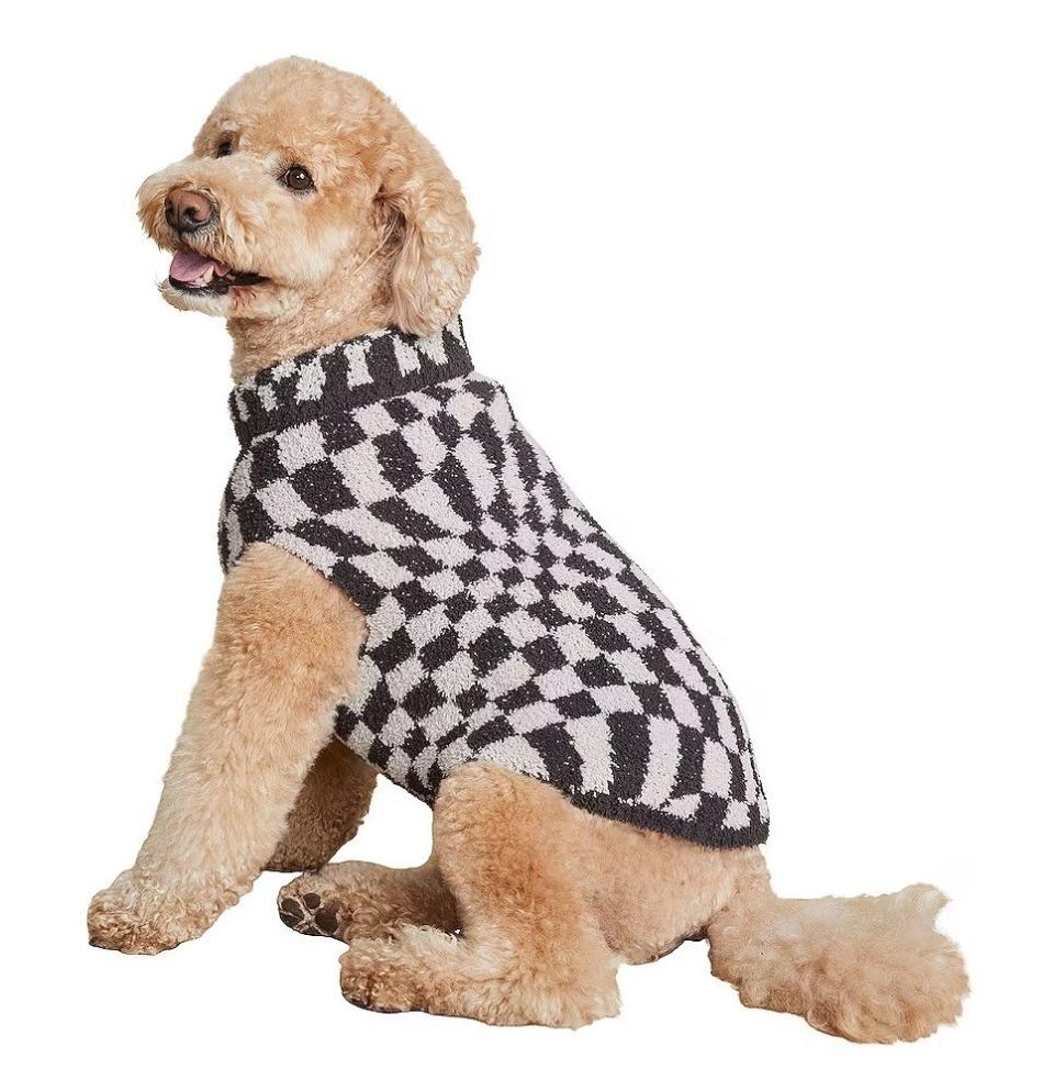 <p><a href="https://go.redirectingat.com?id=74968X1596630&url=https%3A%2F%2Fwww.revolve.com%2Fbarefoot-dreams-cozychic-checkered-pet-sweater-in-carbonsilver%2Fdp%2FBDRE-WA39%2F&sref=https%3A%2F%2Fwww.womansday.com%2Flife%2Fpet-care%2Fg45980948%2Fstocking-stuffer-ideas-for-dogs%2F" rel="nofollow noopener" target="_blank" data-ylk="slk:Shop Now;elm:context_link;itc:0;sec:content-canvas" class="link ">Shop Now</a></p><p>CozyChic Checkered Pet Sweater</p><p>Revolve</p><p>$48.00</p>