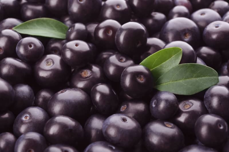 Fresh ripe acai berries as background, closeup