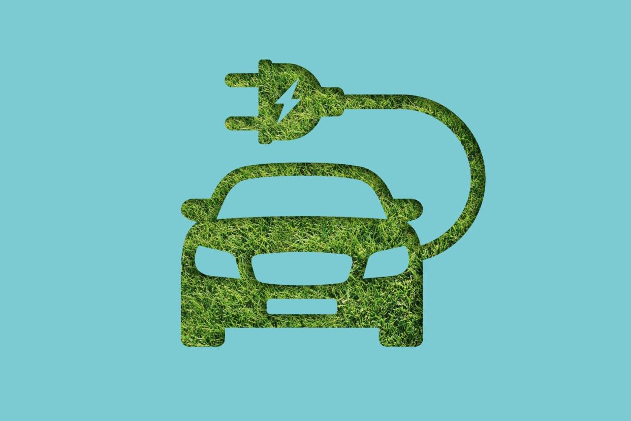electric car made of grass