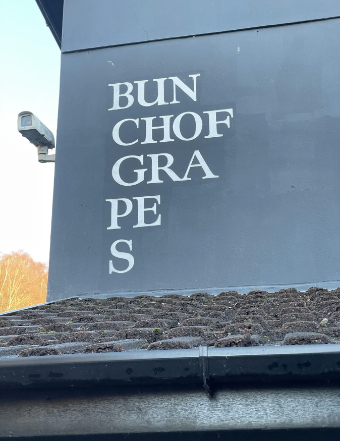 "Bunch of grapes" written badly