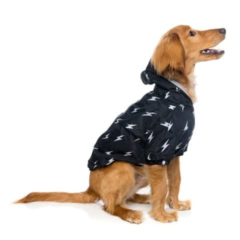 Fuzz Yard Raincoat - Credit: Pets Pyjamas