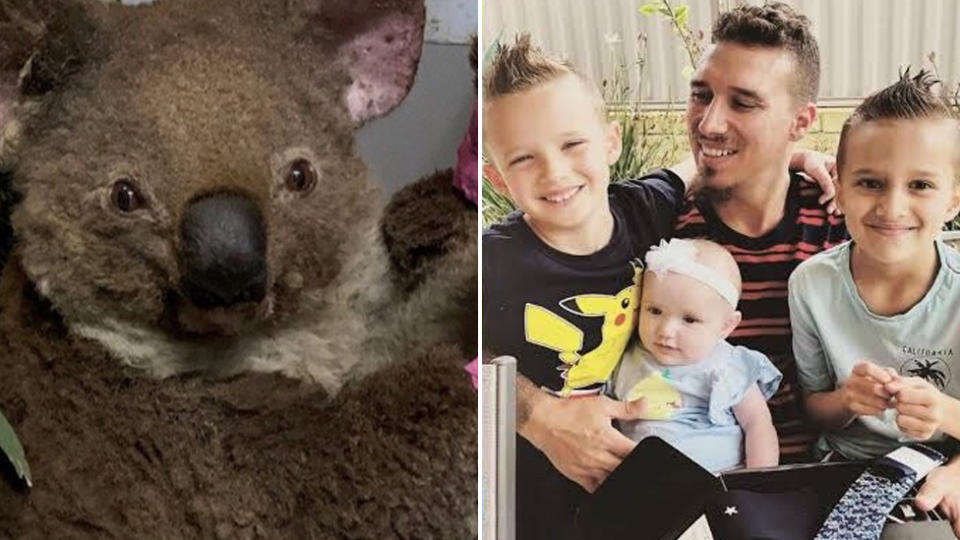 A koala injured in the bushfires and Luke Toki and family