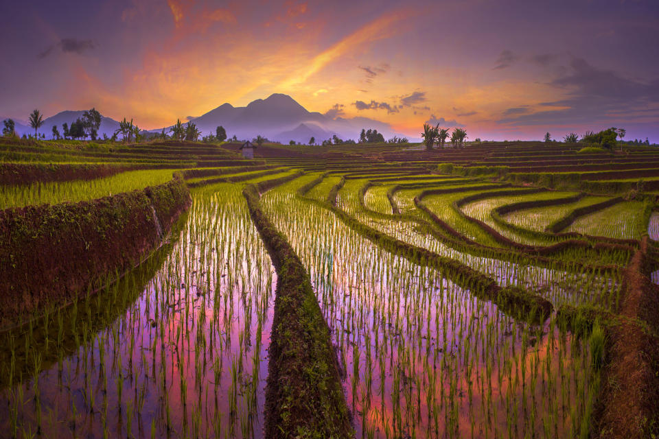 'Beauty morning reflection of red sky, with amazing pattern of terrace rice fields in north bengkulu' by @rahmadhimawan shows rice fields and mountains in Kemumu, Indonesia.