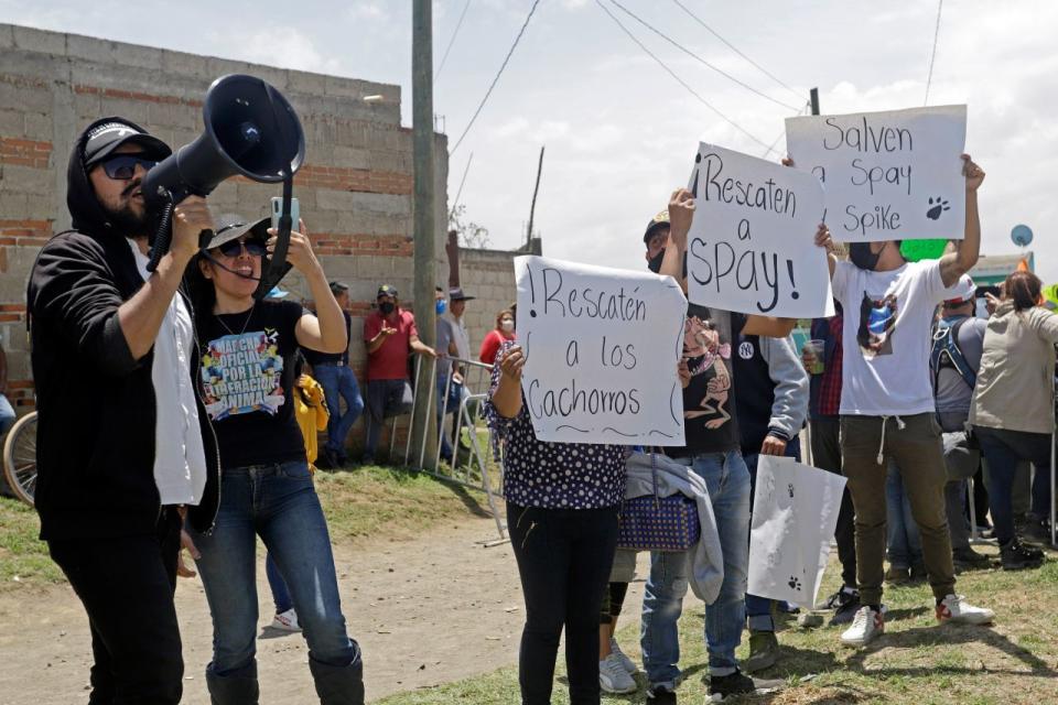 JUAN C BONILLA, PUEBLA, 10JUNIO2021.- El gobernador Miguel Barbosa acudió a la zona del socavón en Santa MarÃ­a Zacatepec para reunirse en privado con dueños de la casa afectada. Durante su visita un grupo de ambientalistas se manifestó para exigir el rescate de los dos perros que cayeron al interior y en donde la postura del gobierno era de no arriesgar ninguna vida humana para ayudar a los caninos. Al final cedió.
FOTO: MIREYA NOVO/CUARTOSCURO.COM