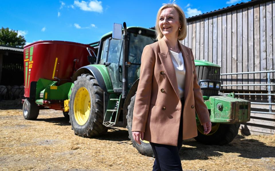 Liz Truss visits Twelve Oaks Farm in Newton Abbot, England - Finnbarr Webster/Getty Images