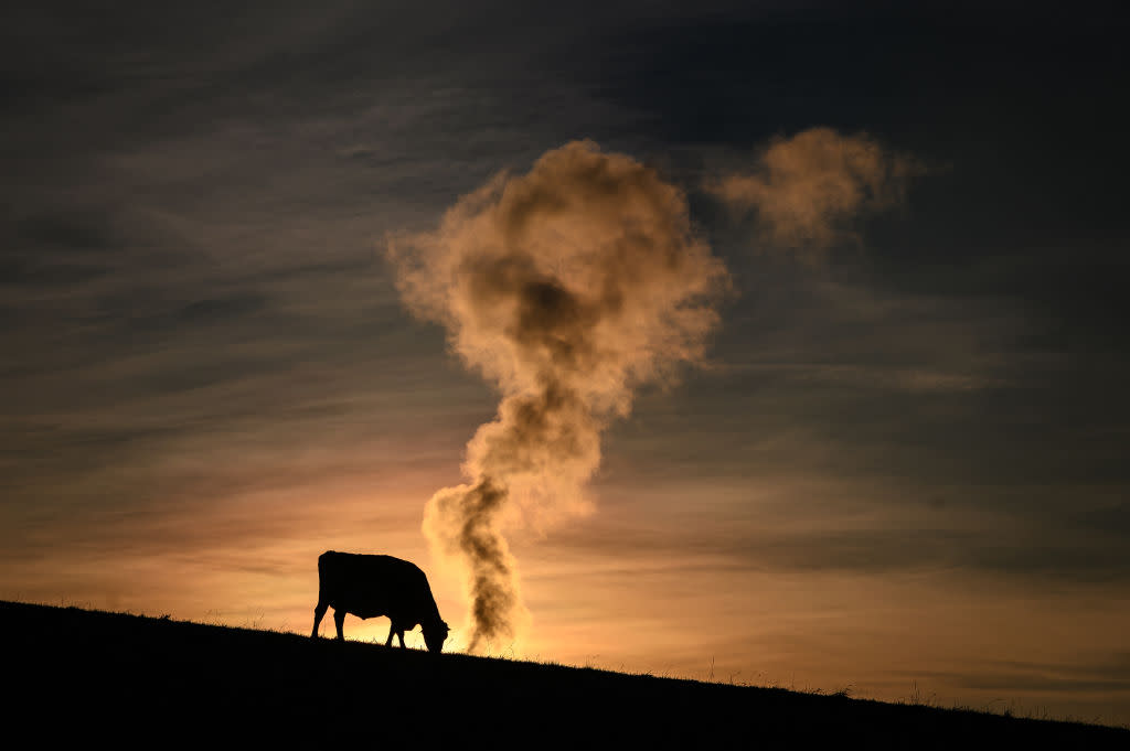 TOPSHOT-SWITZERLAND-FARMING-WASTE-ENVIRONMENT