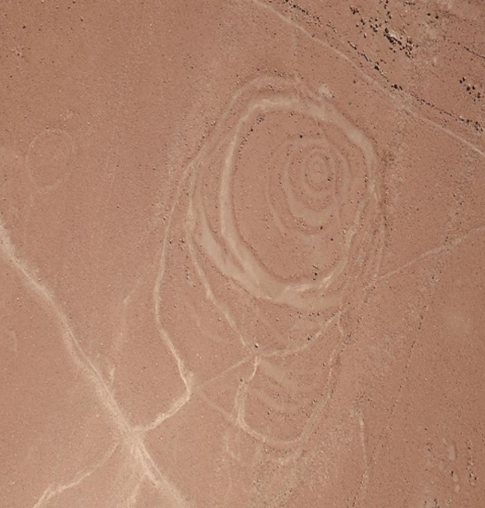 One of the complex circular geoglyphs the team mapped at Quilcapampa, in the Sihuas Valley in Peru, has at least six rings arranged in an irregular pattern.