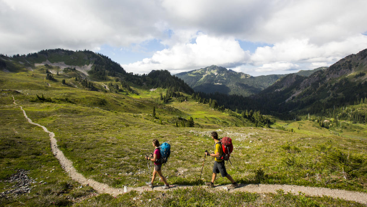  A couple backpacking in Olympic National Park. 