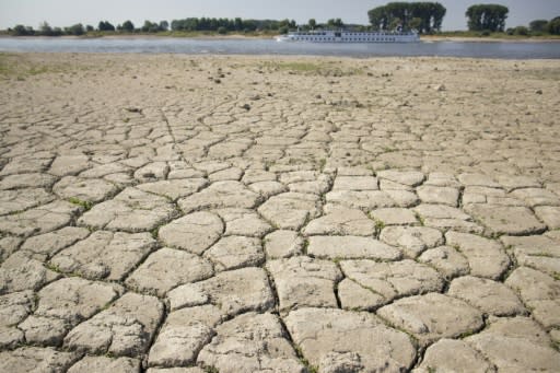 The banks of the Rhine river near Lobith in the Netherlands have been dried out by the ongoing drought