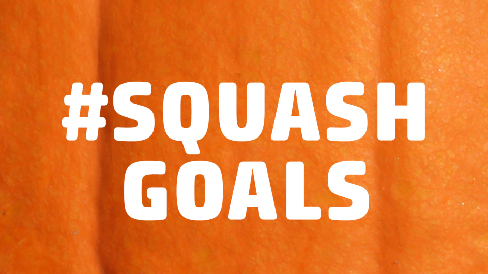 pumpkin puns #squashgoals