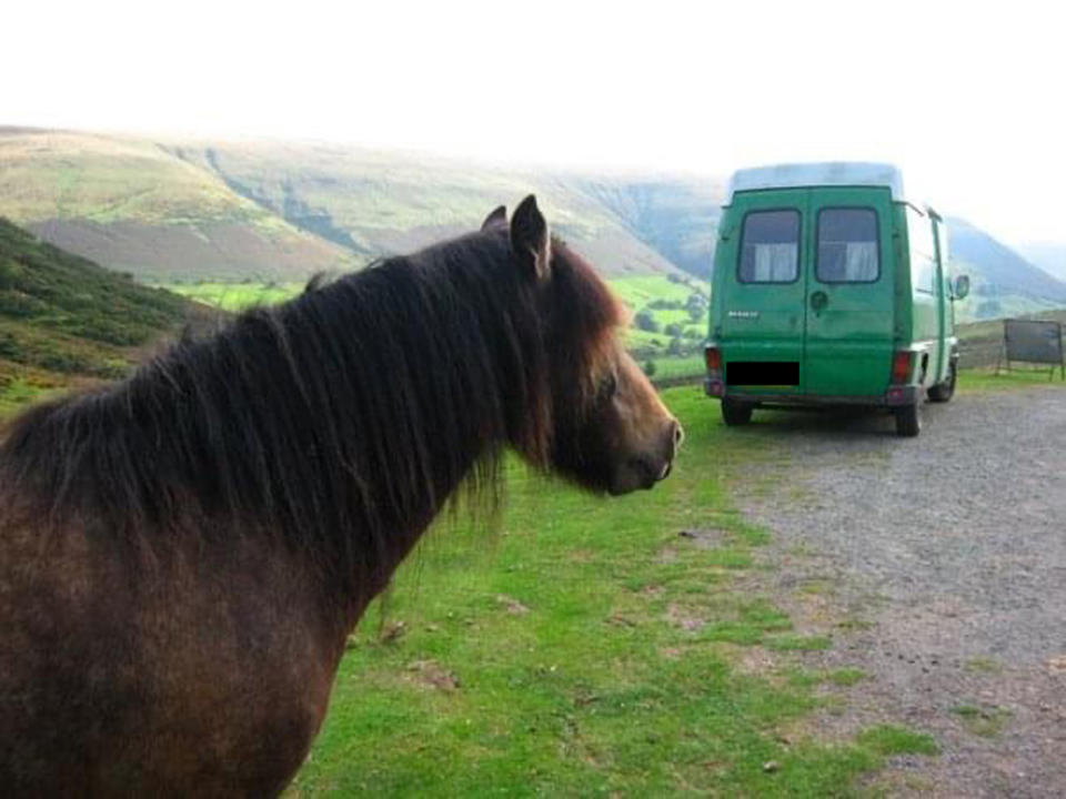 Waking up to wild ponies in the mountains in Wales in summer 2010 (Collect/PA Real Life)