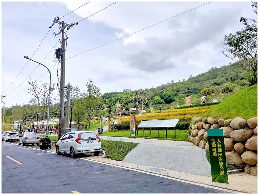 桃園｜大有梯田生態公園