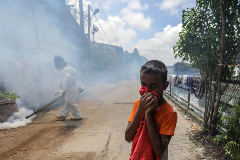 A boy covers his mouth as a Sri Lankan health worker fumigates insecticide to curb mosquito breeding in an attempt to control dengue fever in Colombo, Sri Lanka (EPA)