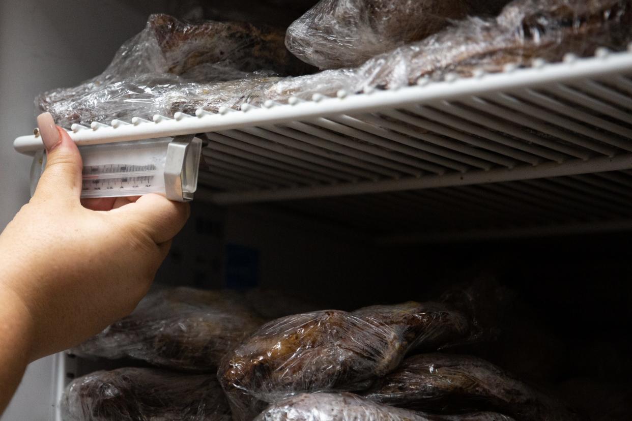 Joanie Garza, a public health inspector with the city, checks the thermometer inside of a refrigerator during a restaurant inspection June 6, 2023, in Corpus Christi, Texas.