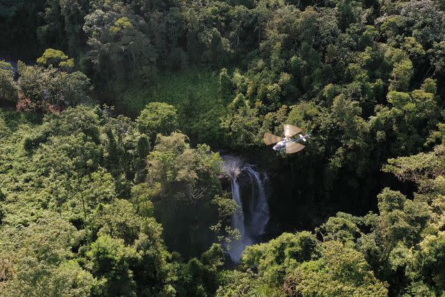 <p>Courtesy of Origen Escapes</p> A jungle waterfall, seen on an Origen Escapes helicopter tour.