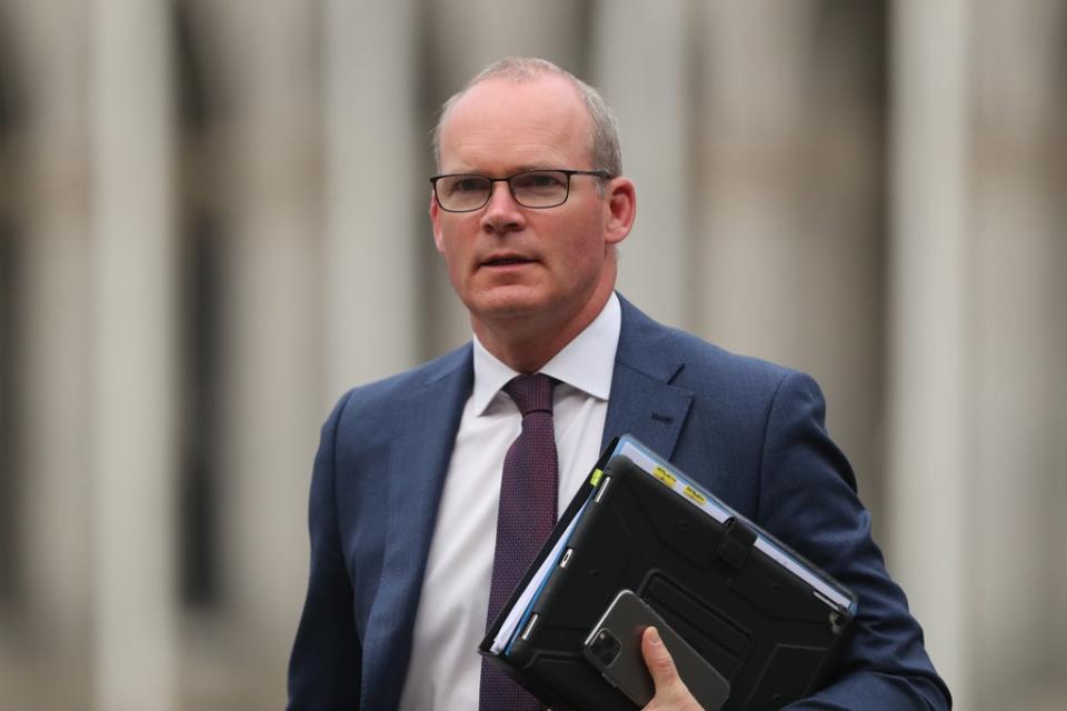 Minister for Foreign Affairs and Defence Simon Coveney (Niall Carson/PA) (PA Archive)