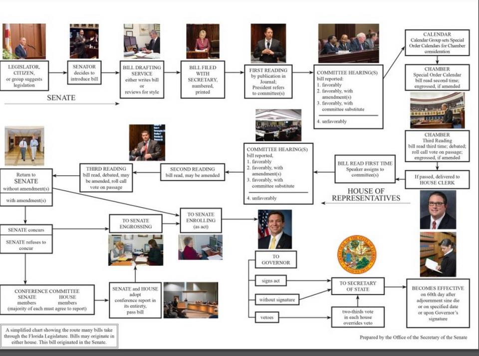 A chart showing the routes a bill may take as it moves its way the Florida Legislature. A bill may originate in either house. This example shows one originating in the Senate.