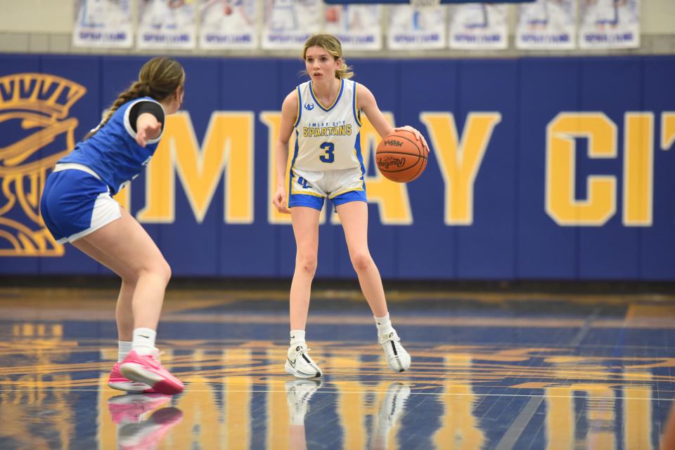 Imlay City's Alexis Bruyere scans the floor during a game earlier this season.