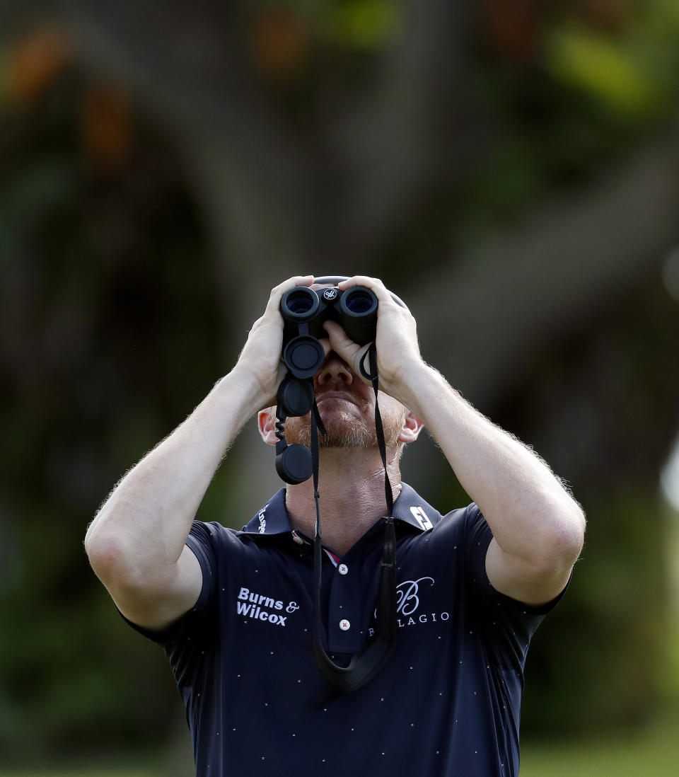 Jimmy Walker searches for his golf ball in a palm tree with a rules official's binoculars on the 10th fairway during the first round of the Sony Open PGA Tour golf event, Thursday, Jan. 10, 2019, at the Waialae Country Club in Honolulu, Hawaii. Walker could not find the ball and had to replay another one. (AP Photo/Matt York)