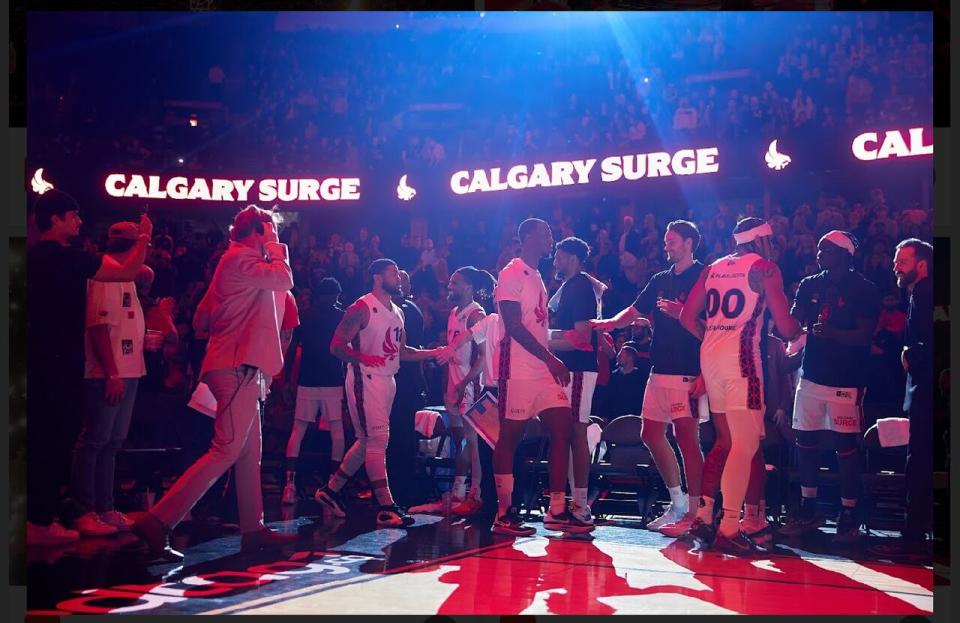 The Calgary Surge began its second season with a loss to the Edmonton Stingers on Tuesday.