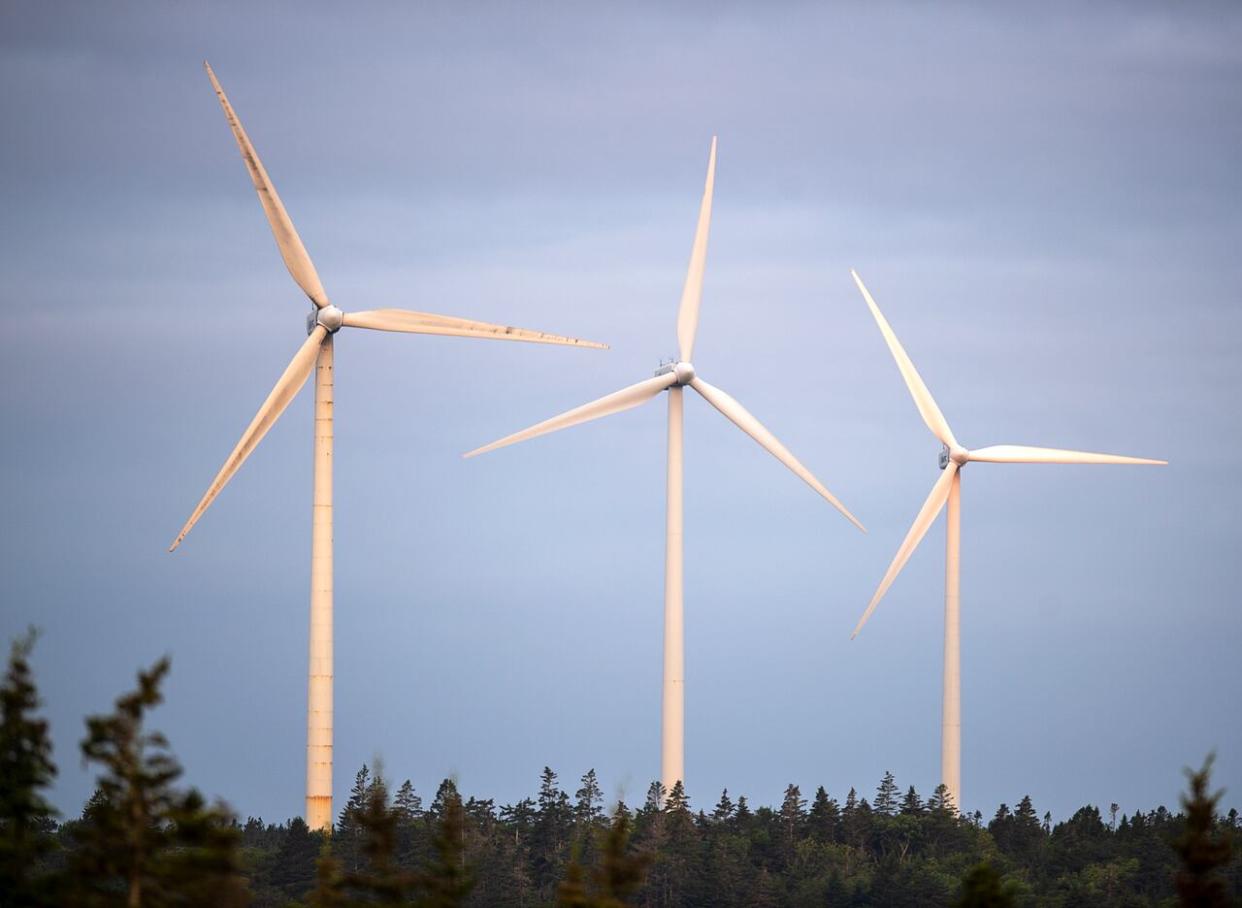 The West Pubnico Point Wind Farm is seen in Lower West Pubnico, N.S. on Monday, Aug. 9, 2021. The operation includes 17 Vestas V-80 turbines which produce 30.6 megawatts of electricity, enough to power more than 9,000 homes. There are  more than 300 commercial wind turbines generating electricity in the province. (Andrew Vaughan/The Canadian Press - image credit)