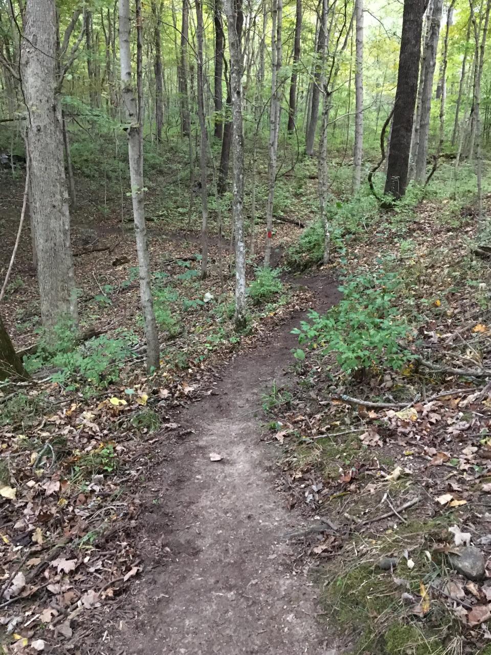 A trail at Paint Creek State Park which was recently cleared by a group of volunteers.