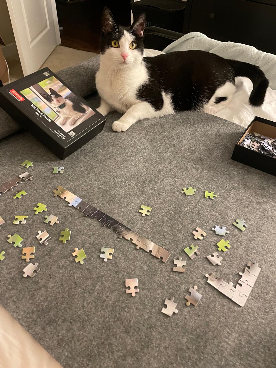 Theodore the puzzle star!