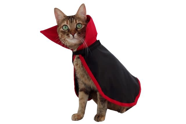 40 Best Halloween Costumes For Cats 2023 — Best Cat Costumes