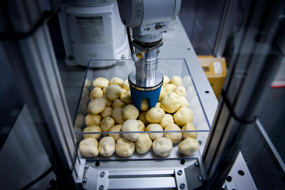 Un robot agarra una papa artificial en una instalación de la Organización de Investigación de Hokkaido en la ciudad japonesa de Sapporo, Hokkaido, el 5 de noviembre de 2019. (Noriko Hayashi / The New York Times)