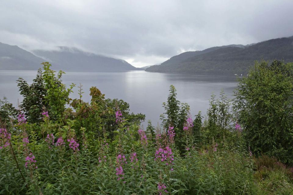 The cat went missing at the famous beauty spot of Loch Lomond in Inveruglas (PA)