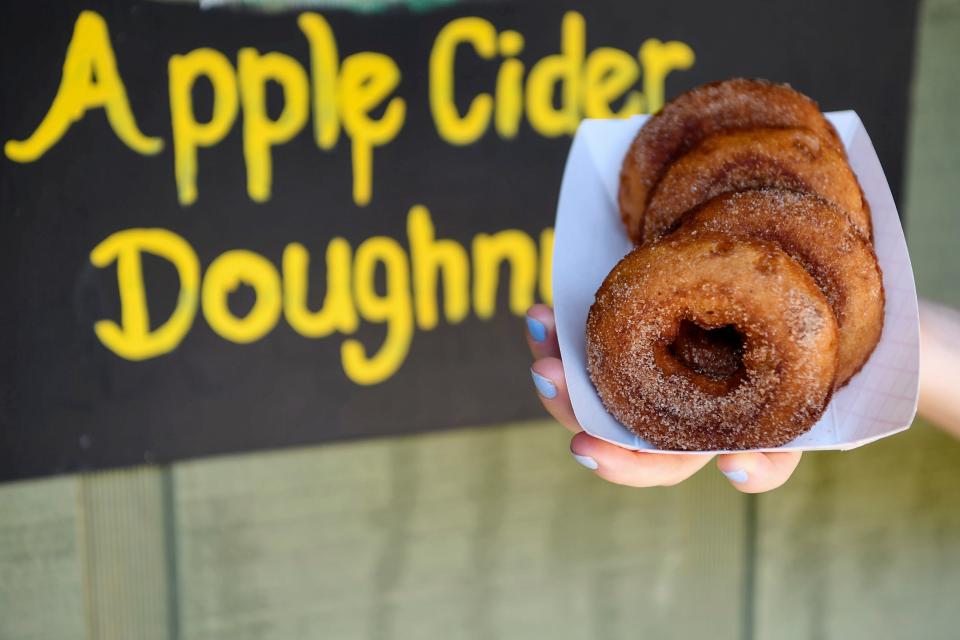 Apple cider doughnuts from Sky Top Orchard in Flat Rock September 12, 2019.