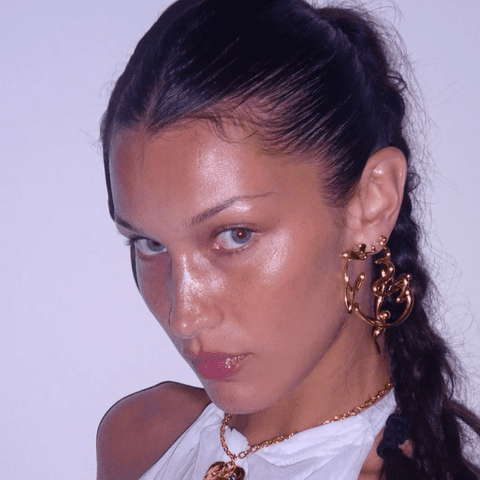 <p>&#64;bellahadid / Instagram</p>