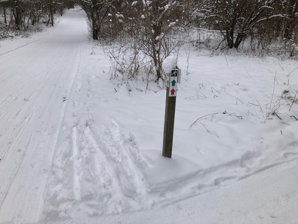 A fat bike trail, foreground, heads to the right as a ski trail forges ahead, both of them groomed, on Jan. 29, 2023, at Love Creek County Park in Berrien Center.