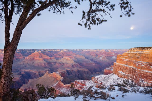 <p>mauhorng/Getty Images</p>