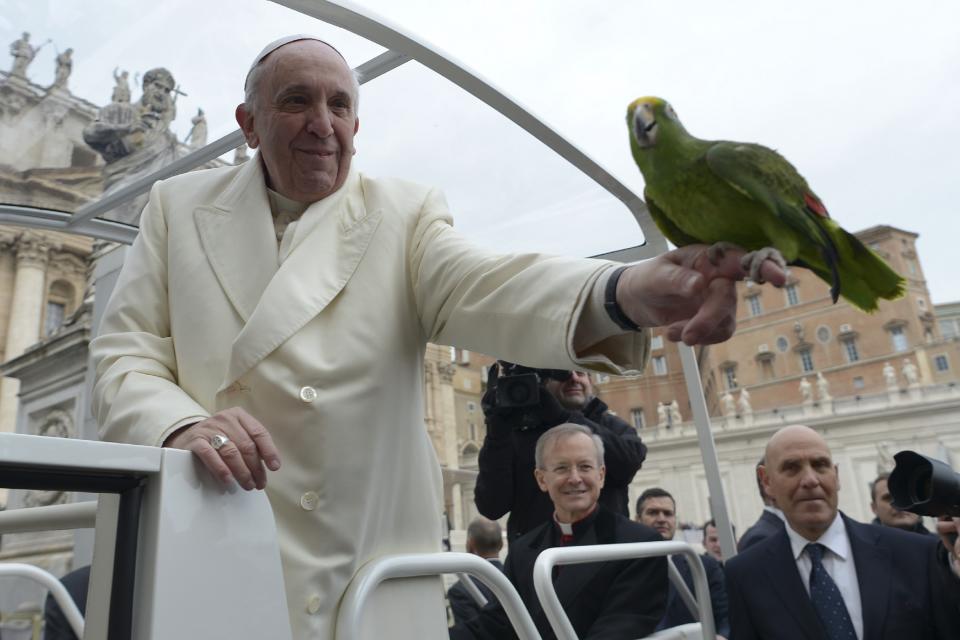 Pope Francis holds a parrot given by faithful during the general audience in Saint Peter's Square at the Vatican January 29, 2014. REUTERS/Osservatore Romano (VATICAN - Tags: RELIGION ANIMALS) ATTENTION EDITORS - FOR EDITORIAL USE ONLY. NOT FOR SALE FOR MARKETING OR ADVERTISING CAMPAIGNS. THIS IMAGE HAS BEEN SUPPLIED BY A THIRD PARTY. IT IS DISTRIBUTED, EXACTLY AS RECEIVED BY REUTERS, AS A SERVICE TO CLIENTS. NO SALES. NO ARCHIVES