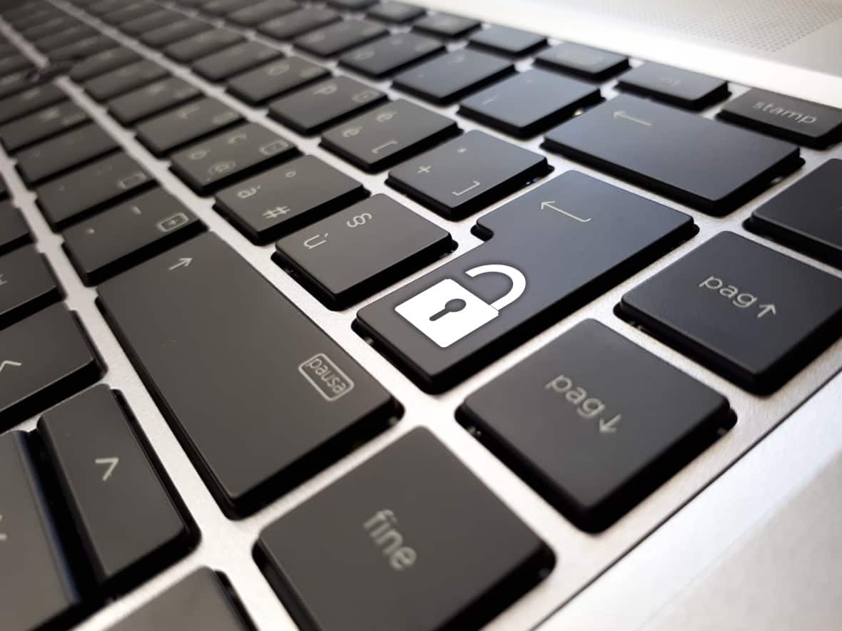 An IT security analyst in Halifax says the provincial government is failing to protect Nova Scotians from potential online impostors who steal personal information with lookalike websites.  (Shutterstock/Dan74 - image credit)