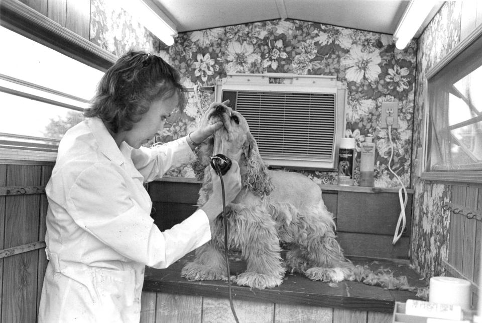 Angela Eaton grooms "Dutchess" inside "House Calls" trailer in 1982. The unit is equipped with a bath, heater, air conditioner and dryer.<span class="copyright">Ed Maker—The Denver Post/Getty Images</span>